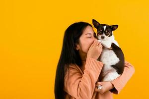 Cute Asian woman with his chihuahua chihuahua dog lover The happiness of a girl who loves his dog The love of people and cute dogs photo shoot in orange studio