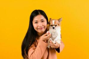 Cute Asian woman with his chihuahua chihuahua dog lover The happiness of a girl who loves his dog The love of people and cute dogs photo shoot in orange studio