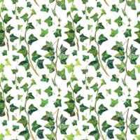 Watercolour seamless pattern with green branch and leaves ivy png