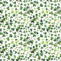 Watercolour seamless pattern with green branch and leaves ivy png