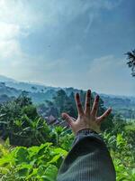 Hand of a woman catching something concept on a background of mountains, nature leaves, and blue sky. photo