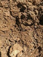 Fertile dry soil texture. Natural background of dry soil. Close-up of fertile dry soil for the background. Gardening or planting concept with copy space. photo
