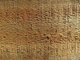 Wooden grain texture with scratches and cracks. Dark wood texture background surface with old natural pattern. Abstract wooden texture background for design. photo