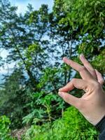 Hand showing ok sign with green nature background. Focus on hand, macro shot, and selective focus. Feelings and emotions concept. photo