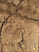 Close-up photo of dry soil texture background. Dry cracked earth background. Dried cracked earth soil ground can be used for climate change and environmental damage background