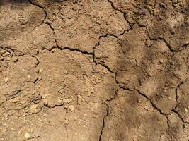 Close-up photo of dry soil texture background. Dry cracked earth background. Dried cracked earth soil ground can be used for climate change and environmental damage background