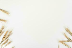 wheat on white table background top view photo