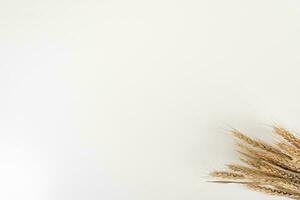 wheat on white table background top view photo