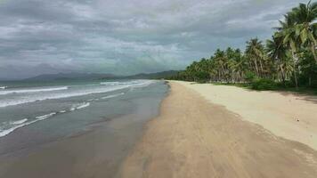 ondas em a deserta san vicente grandes praia, Palawan ilha, aéreo Visão video