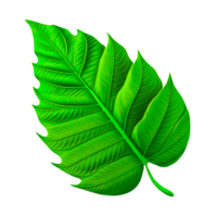 verde plantas clipart png ai generativo