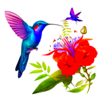 Hummingbirds PNG Ai Generative