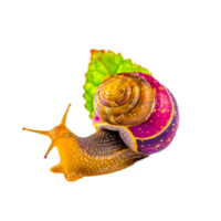 escargot journée png ai génératif