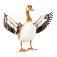 Pretty Goose png Ai Generative
