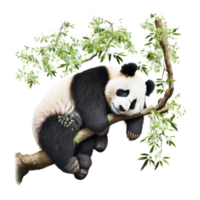 bambou Panda png ai génératif