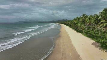 golven Aan de uitgestorven san vicente lang strand, Palawan eiland, antenne visie video