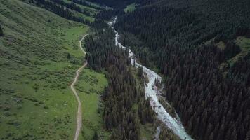 Fluss im das Wald von das Karakol Schlucht im Kirgistan, Antenne Aussicht video