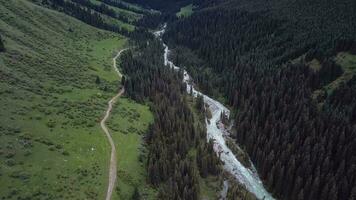 River In The Forest Of The Karakol Gorge In Kyrgyzstan, Aerial View video