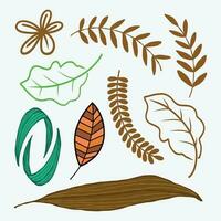 Editable Illustration of Leaf Icons Vector