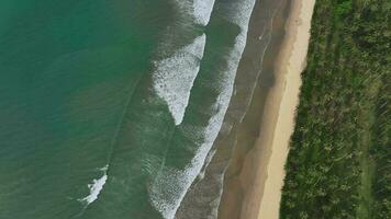 ondas em a deserta san vicente grandes praia, Palawan ilha, aéreo Visão video