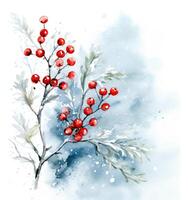 Christmas card with christmas tree branches and winter berries. Illustration AI Generative photo