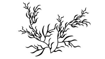 Tree branches with Leaves Shilouette used for floral design resources, invitation, black and white background vector