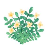 Flowers watercolor clipart png