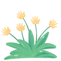 Flowers watercolor clipart png