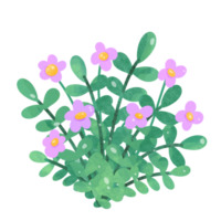 Flowers watercolor clipart png