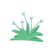 bloemen waterverf clip art png