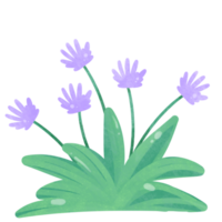 blommor vattenfärg ClipArt png