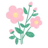 Flowers watercolor clipart png