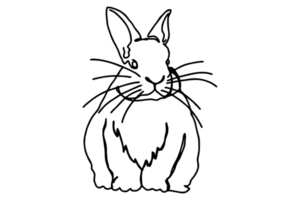 Coloring of Animal Illustration - Rabbit, Bunny Sitting png