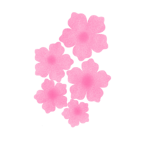 Pink flower with texture png