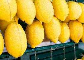 grupo de limones. concepto de comida natural, salud, frescura. foto