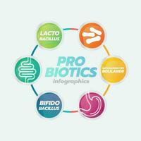 Probiotic Foods Good Bacteria Vector illustration.