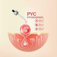 Pycnogenol serum Skin Care Cosmetic vector