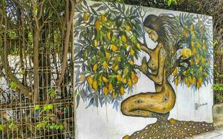 Puerto Escondido Oaxaca Mexico 2023 Wall with graffiti art drawings paintings human nature animal Mexico. photo