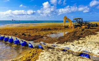 Playa del Carmen Quintana Roo Mexico 2023 Excavator digging in sea for sea weed Caribbean beach Mexico. photo