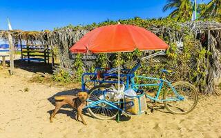 Puerto Escondido Oaxaca Mexico 2023 Sun beach sand people surfer waves palms Puerto Escondido Mexico. photo