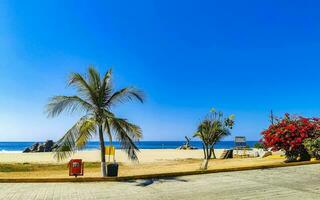 Puerto Escondido Oaxaca Mexico 2023 Sun beach sand people surfer waves palms Puerto Escondido Mexico. photo