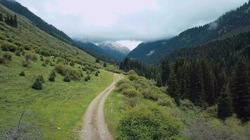 Aerial View Of The Karakol Forest And Gorge In Kyrgyzstan video