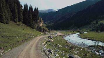 paysage de le rivière dans le vert vallée de Kirghizistan, aérien vue video