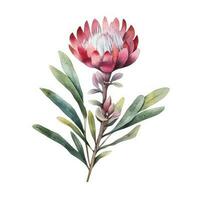 Cute botanical watercolor plant. Illustration AI Generative photo