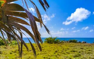 Natural seascape panorama view Tulum ruins Mayan site temple Mexico. photo