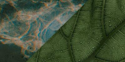 Illuminated and backlit texture background photo