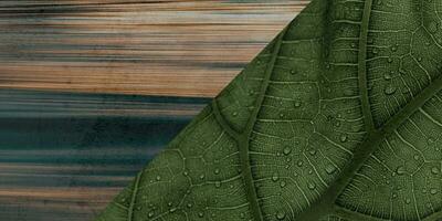 Stucco and plastered wall texture background photo