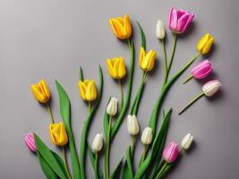 Spring Tulip Colorful Flowers on Light Grey Background Top View, photo