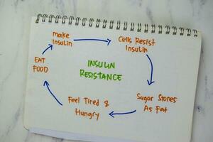 Concept of Insulin Resistance write on a book with keywords isolated on Wooden Table. photo