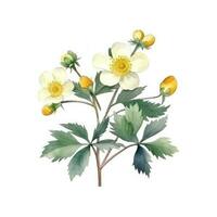 Cute botanical watercolor plant. Illustration AI Generative photo