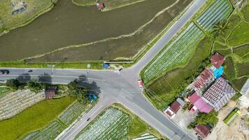 Aerial view of Terraced Green Rice Field in Bukittinggi, Sawah batipuh, west sumatra, Indonesia. Wonderful Indonesia. Bukittinggi, Indonesia, January 29, 2023 photo